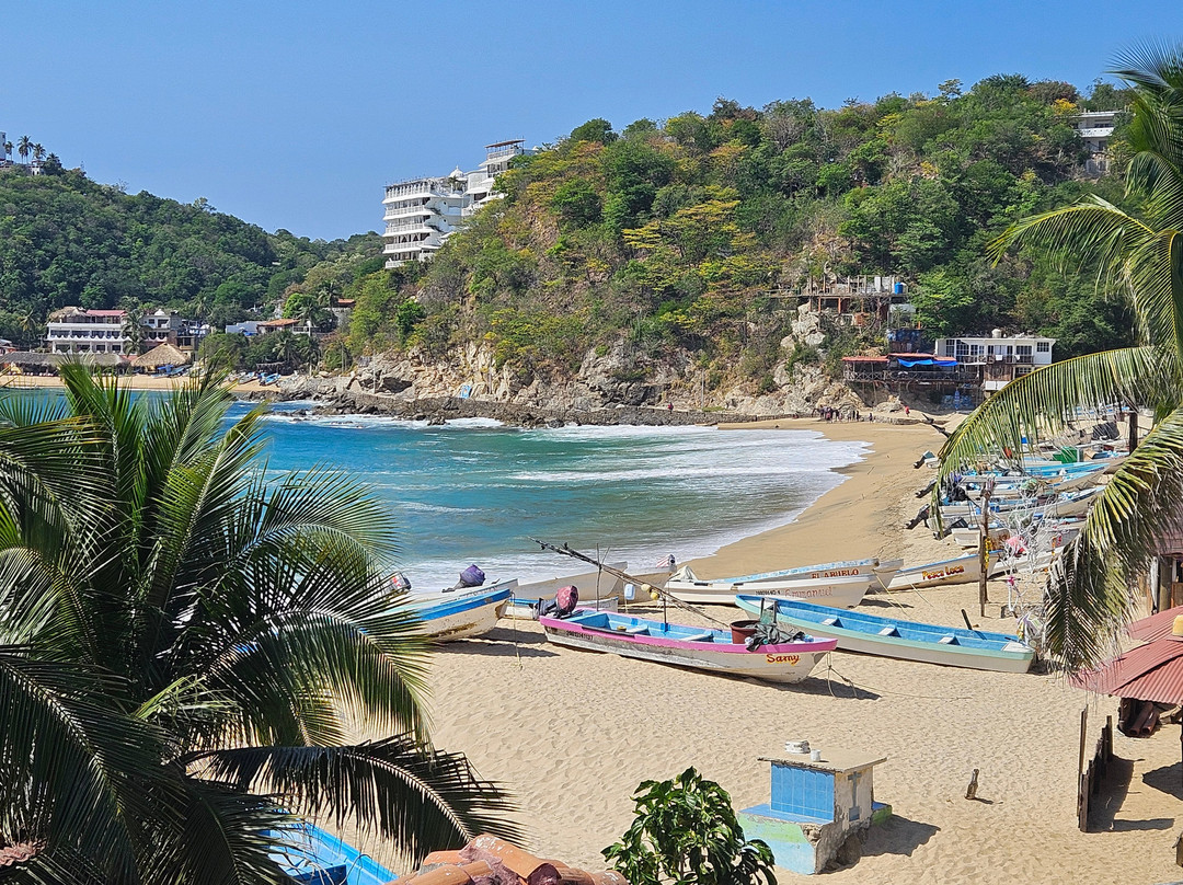 Private Land Tours Huatulco景点图片