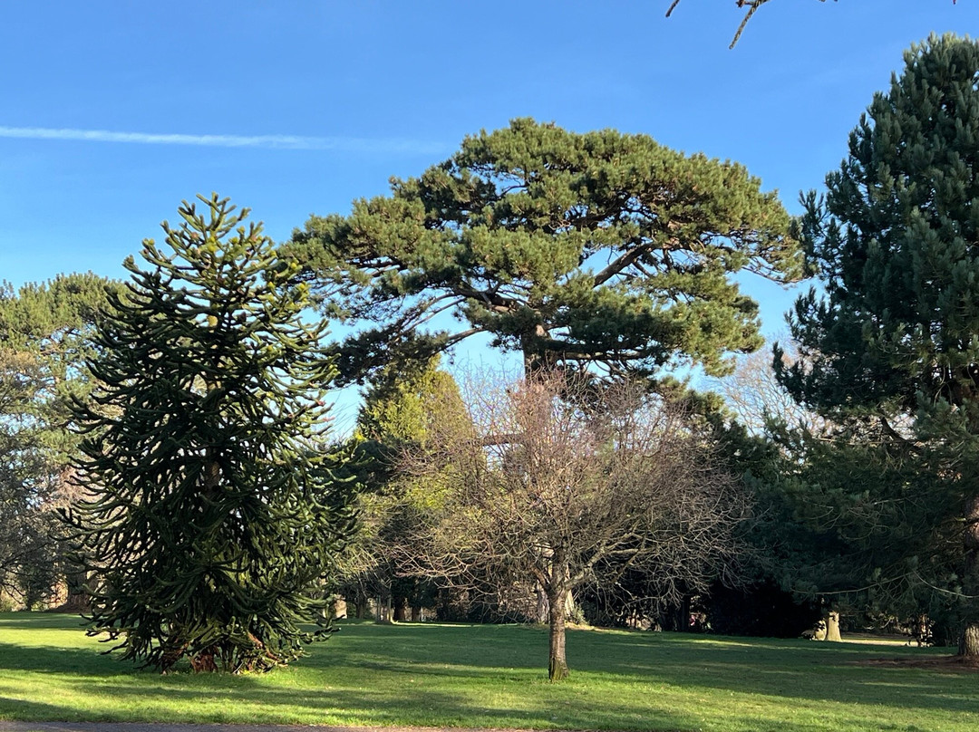 Leavesden Country Park景点图片
