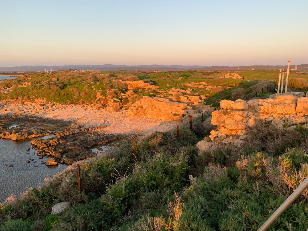 Tel Dor National Park-Nahsholim必去景点
