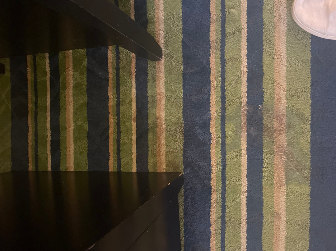 Comfort Inn & Suites Lantana - West Palm Beach South主图