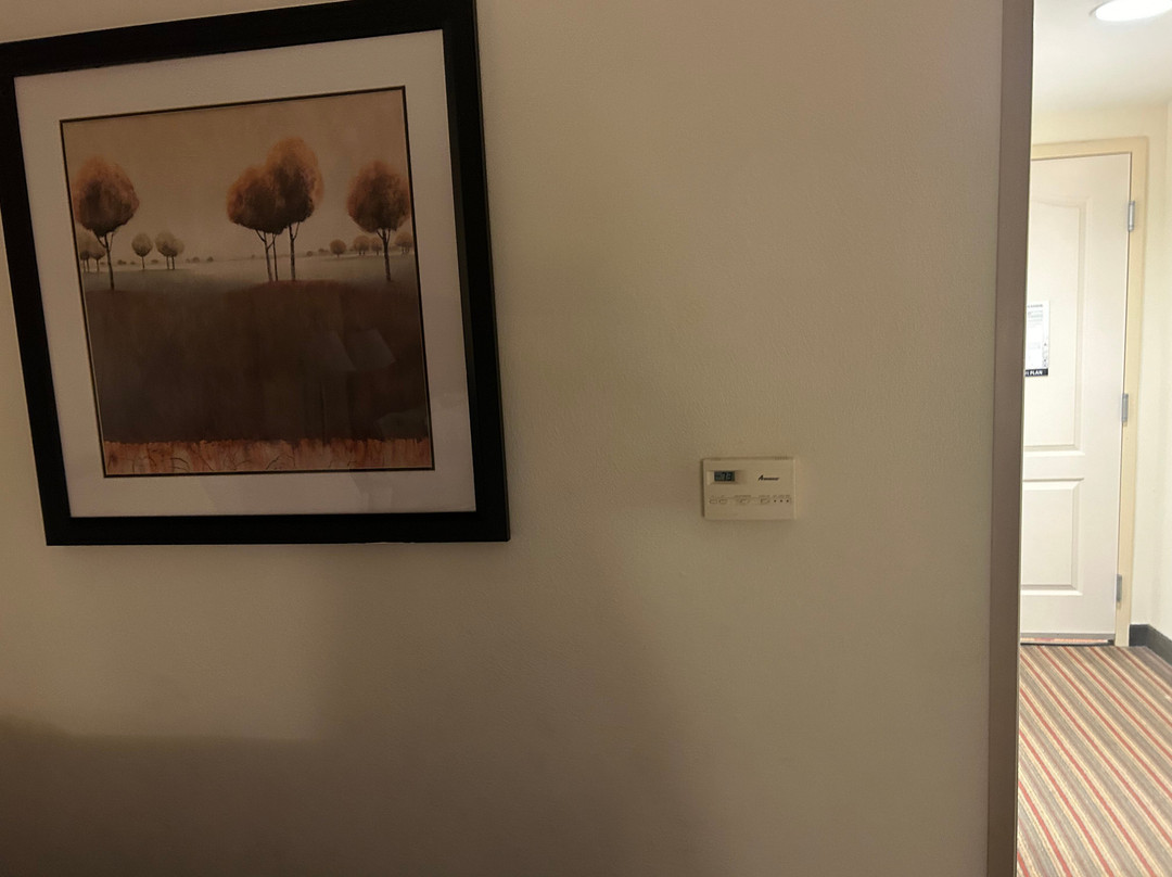 Hampton Inn Hampton-Newport News主图