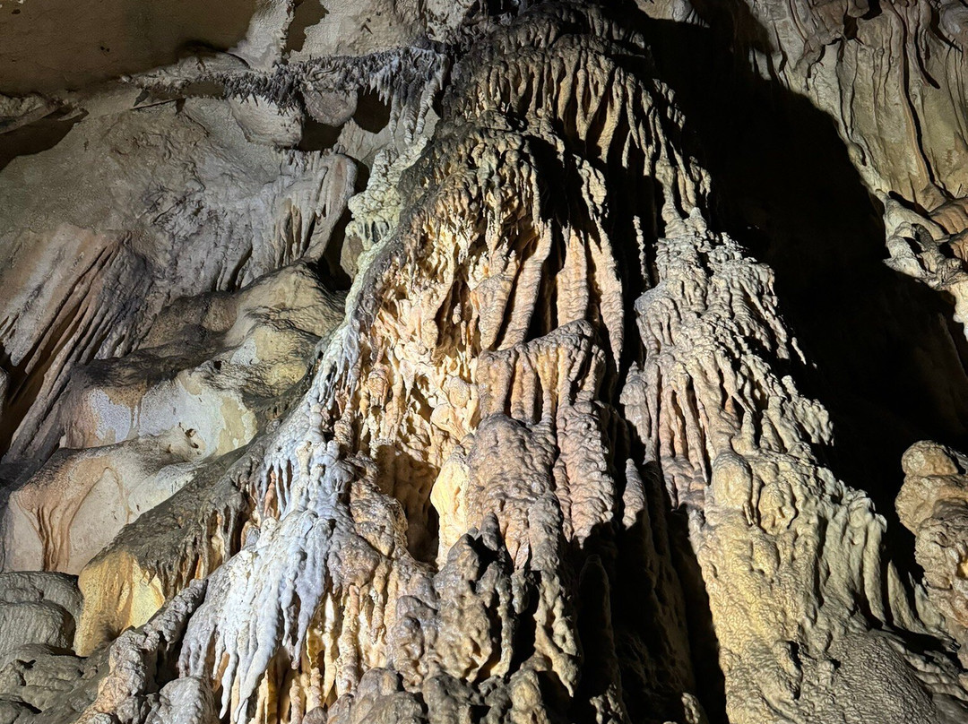 Cueva de la Pileta景点图片