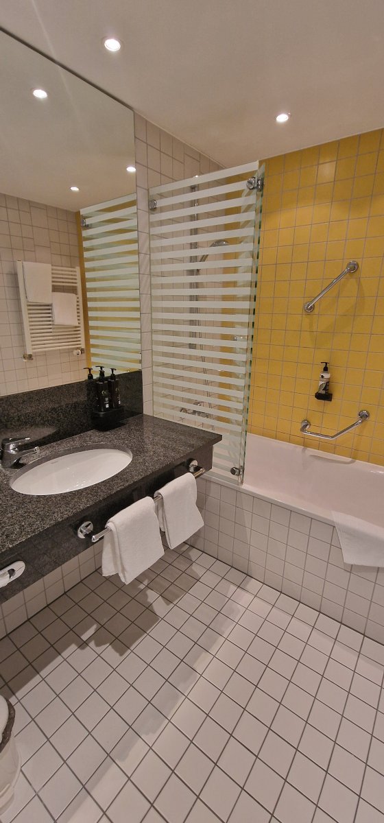 波茨坦多林特酒店-浴室