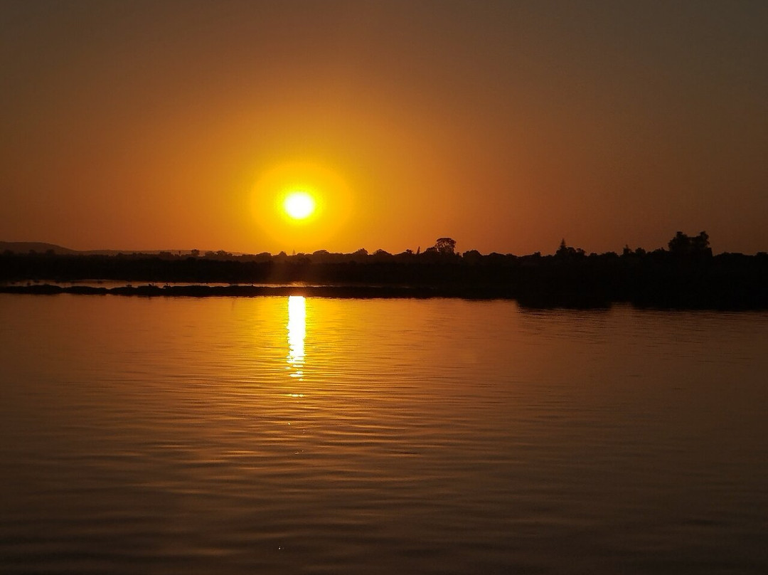 Cracklin' Rosie River Tours-Velddrif必去景点