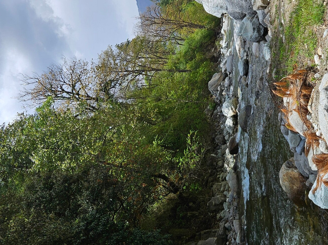 Tirthan Anglers' Retreat主图