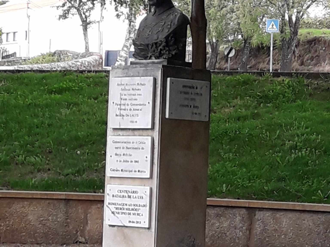 Busto Do Soldado Milhões景点图片