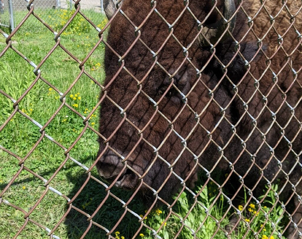 Buffalo Rock State Park-渥太华必去景点