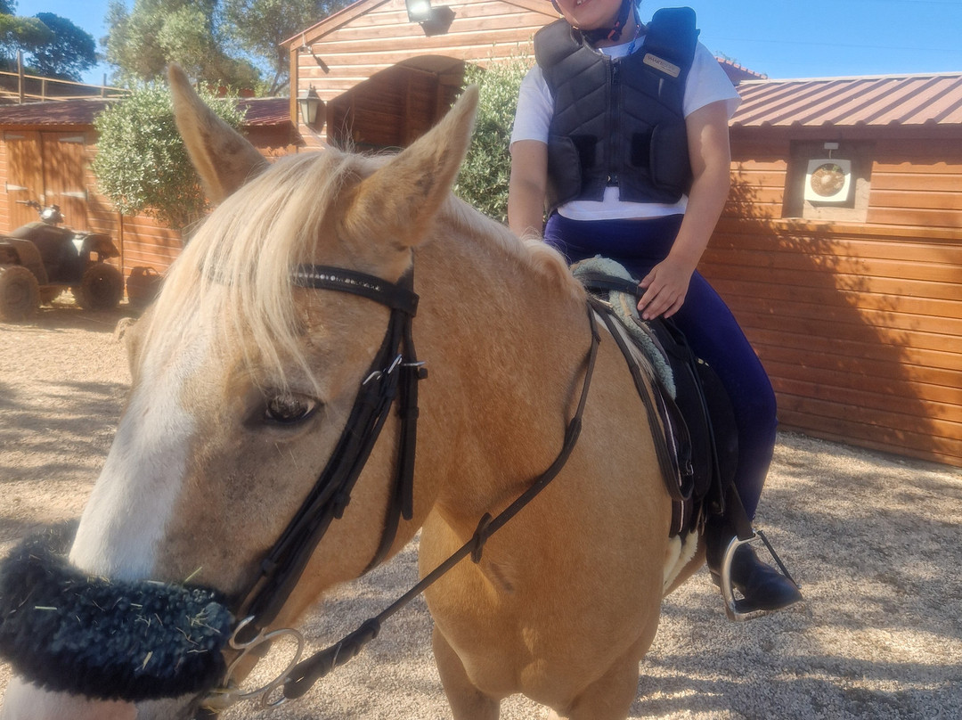 Country Riding Centre-Silves必去景点