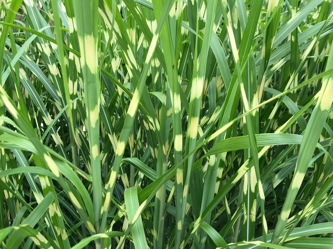 Fort Wayne Zoo-韦恩堡必去景点