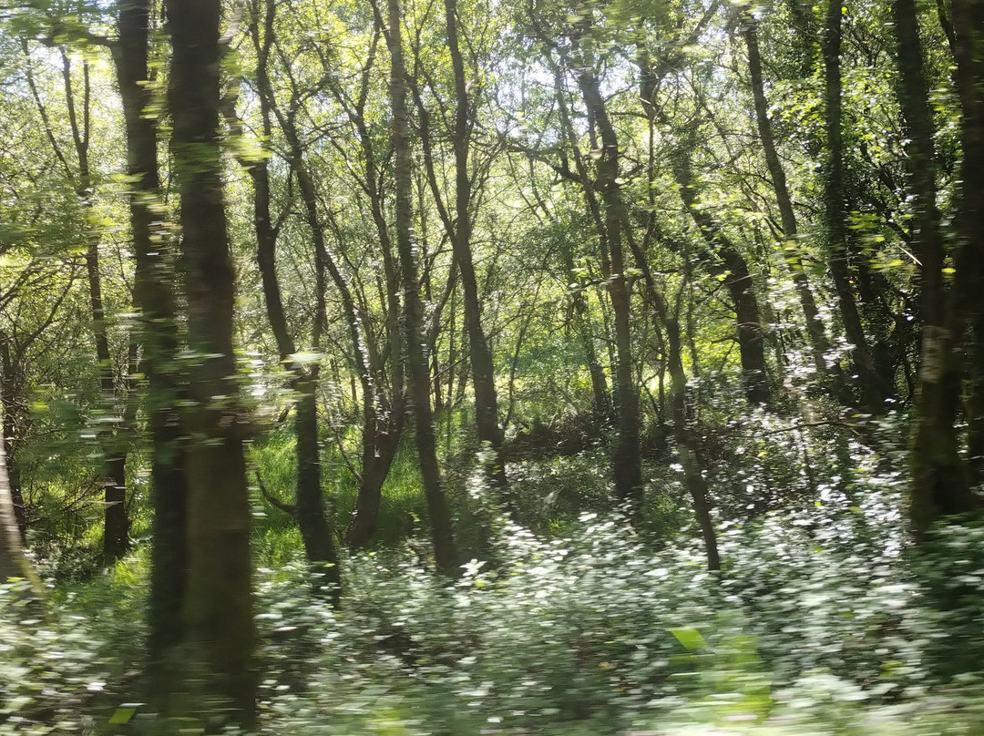 Ruta Trimaz-cabreiros-Xermade必去景点