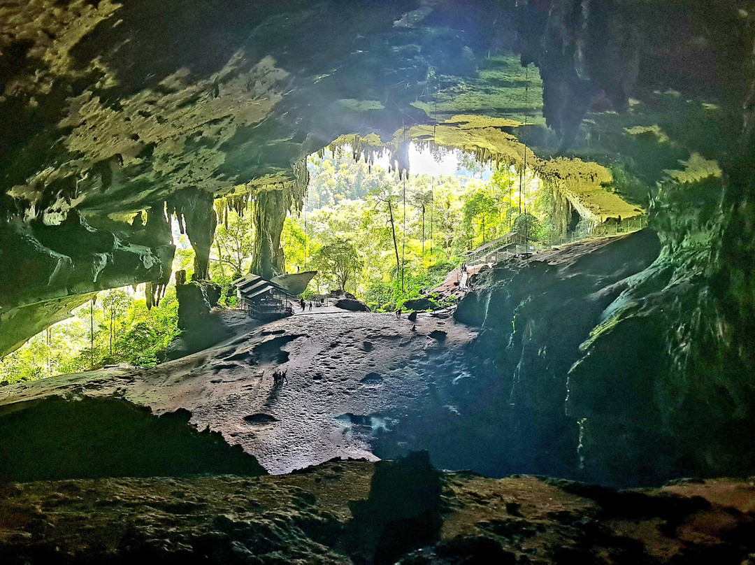 Niah National Park-美里必去景点