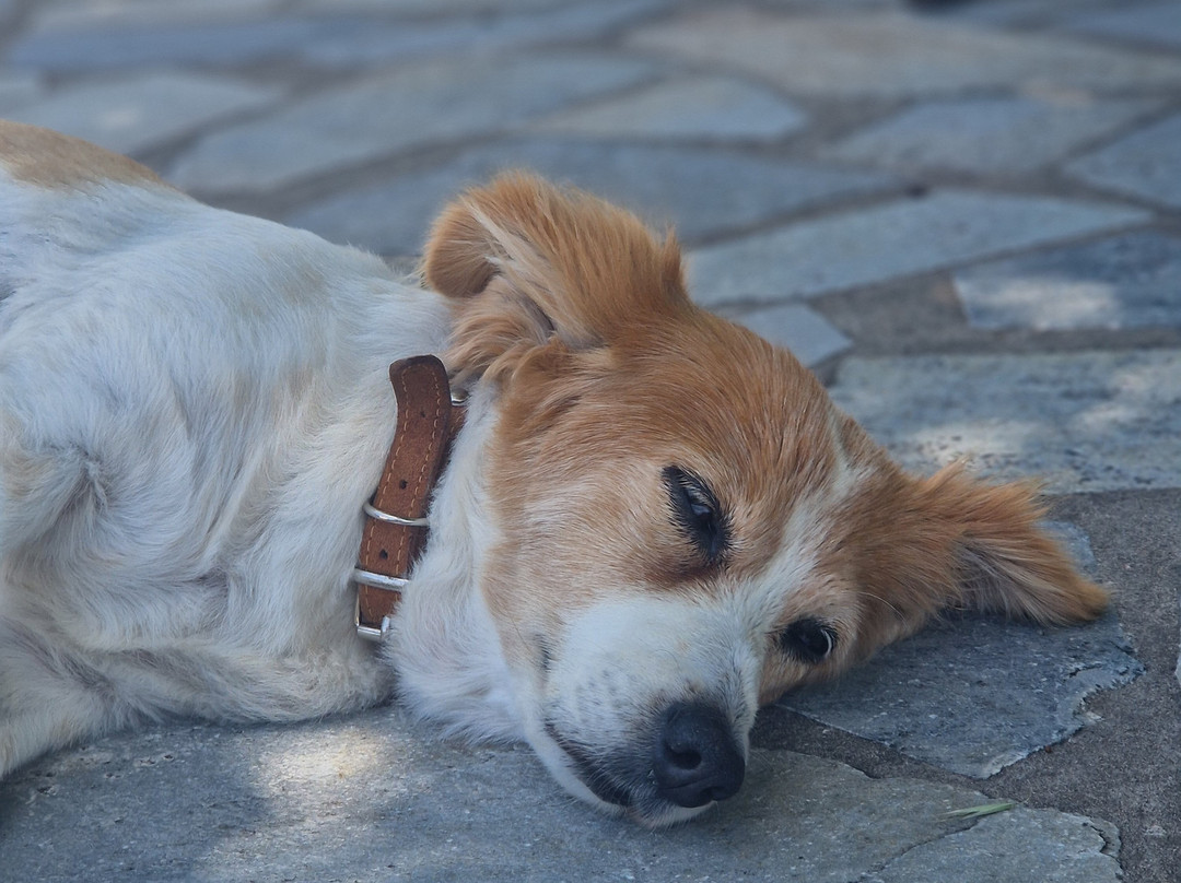 阿克缇公寓酒店主图