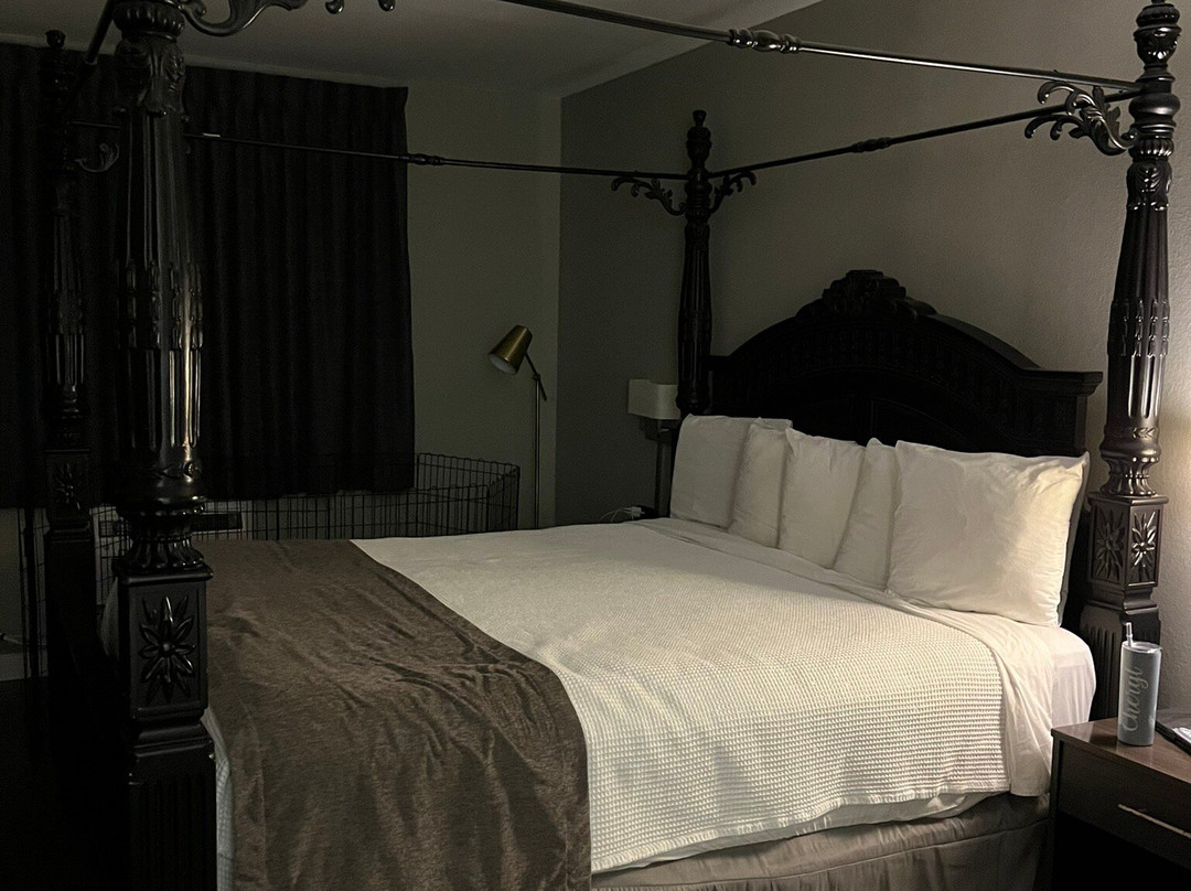 Carolina Pine Inn主图