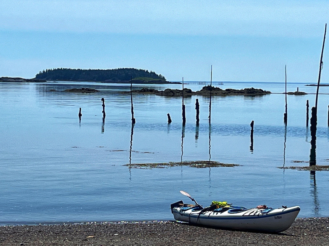 Seascape Kayak Tours Inc.景点图片