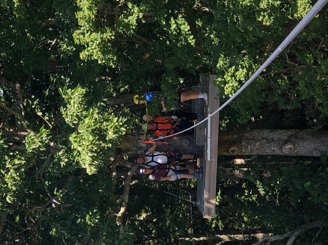 Buffalo Mountain Ziplines-Floyd必去景点