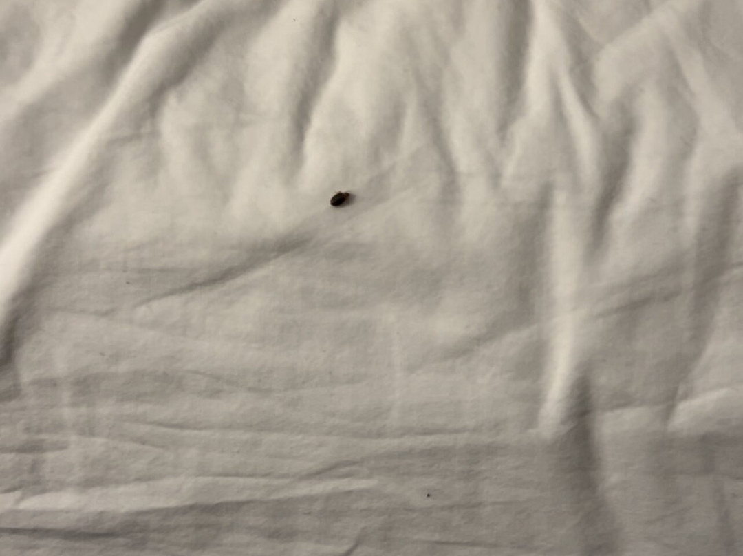 Wingate by Wyndham主图