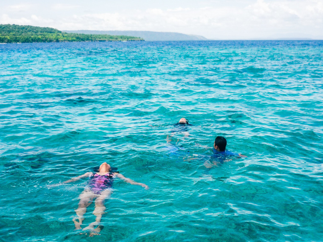 Sumbawa Whale Shark Tour-Sumbawa Besar必去景点