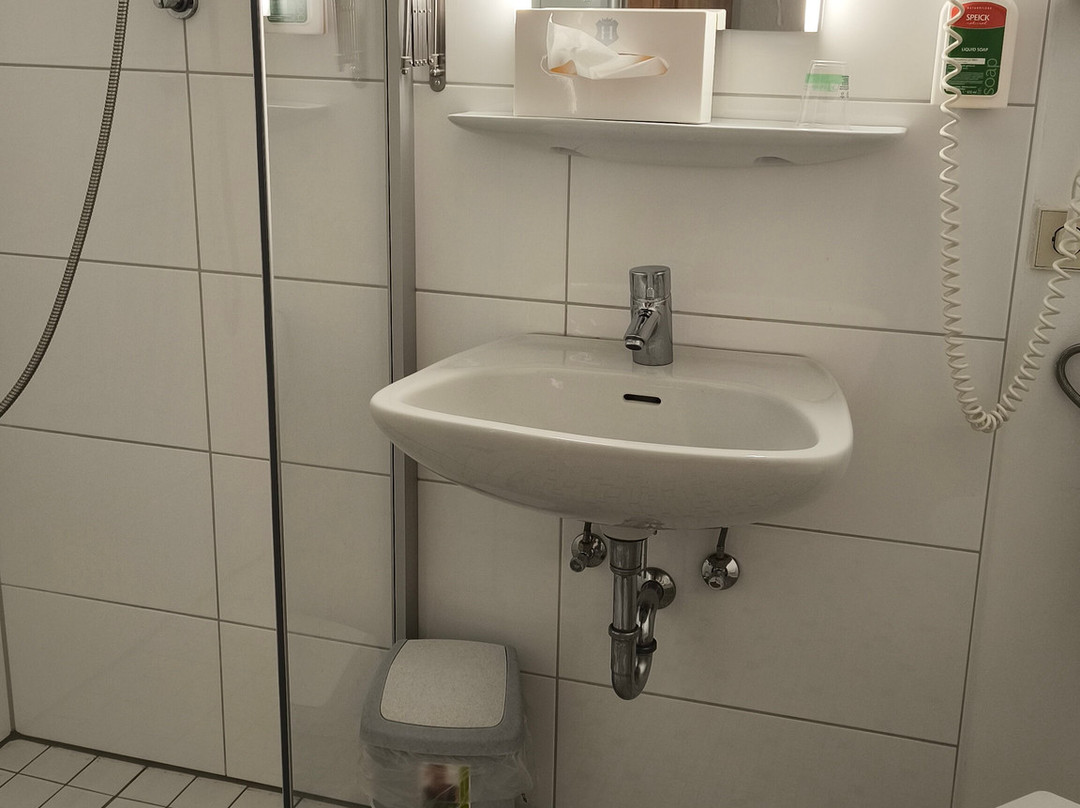 Hotel-Restaurant -Cafe Ehrich主图