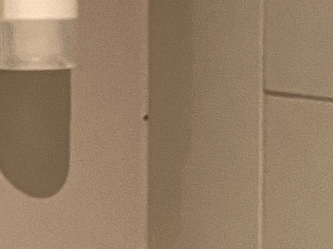 The Warwickshire主图