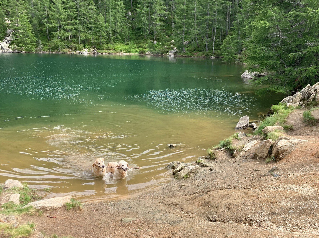 Lago Azzurro景点图片