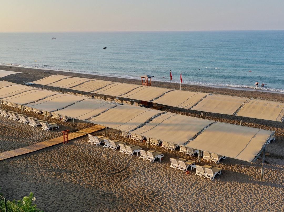 Crystal Boutique主图