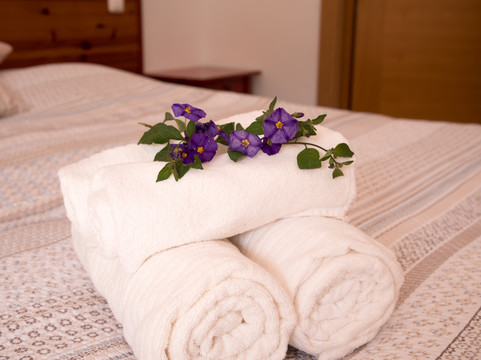 阿尔玛温泉旅馆主图