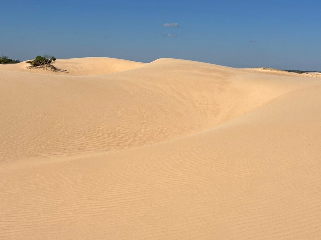 Misional Tours-圣克鲁斯省必去景点