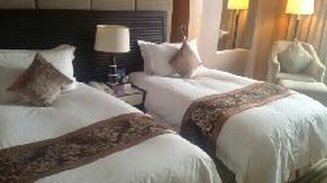 泰达美爵酒店主图