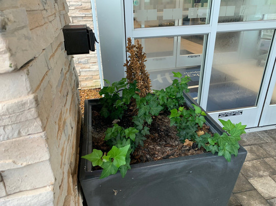 Holiday Inn Express & Suites Huntsville â Space Center by IHG主图