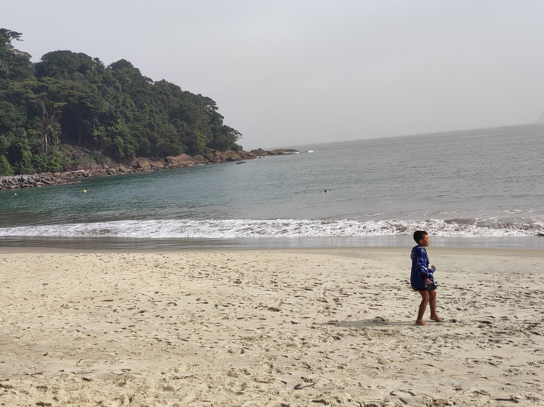 Passeio de Lancha em Boiçucanga Alma Surf Tour景点图片