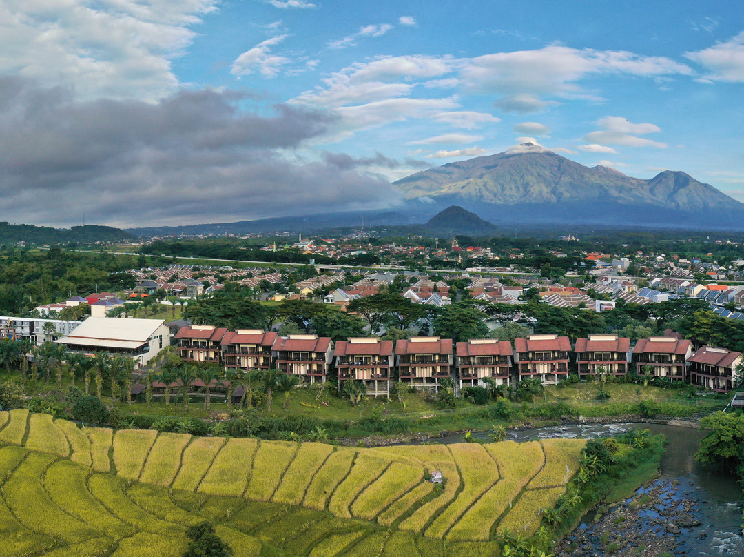 Ngadipuro旅游攻略图片
