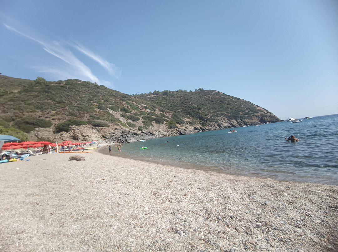 Spiaggia di Remaiolo景点图片