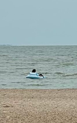 Rockport Beach-罗克波特必去景点