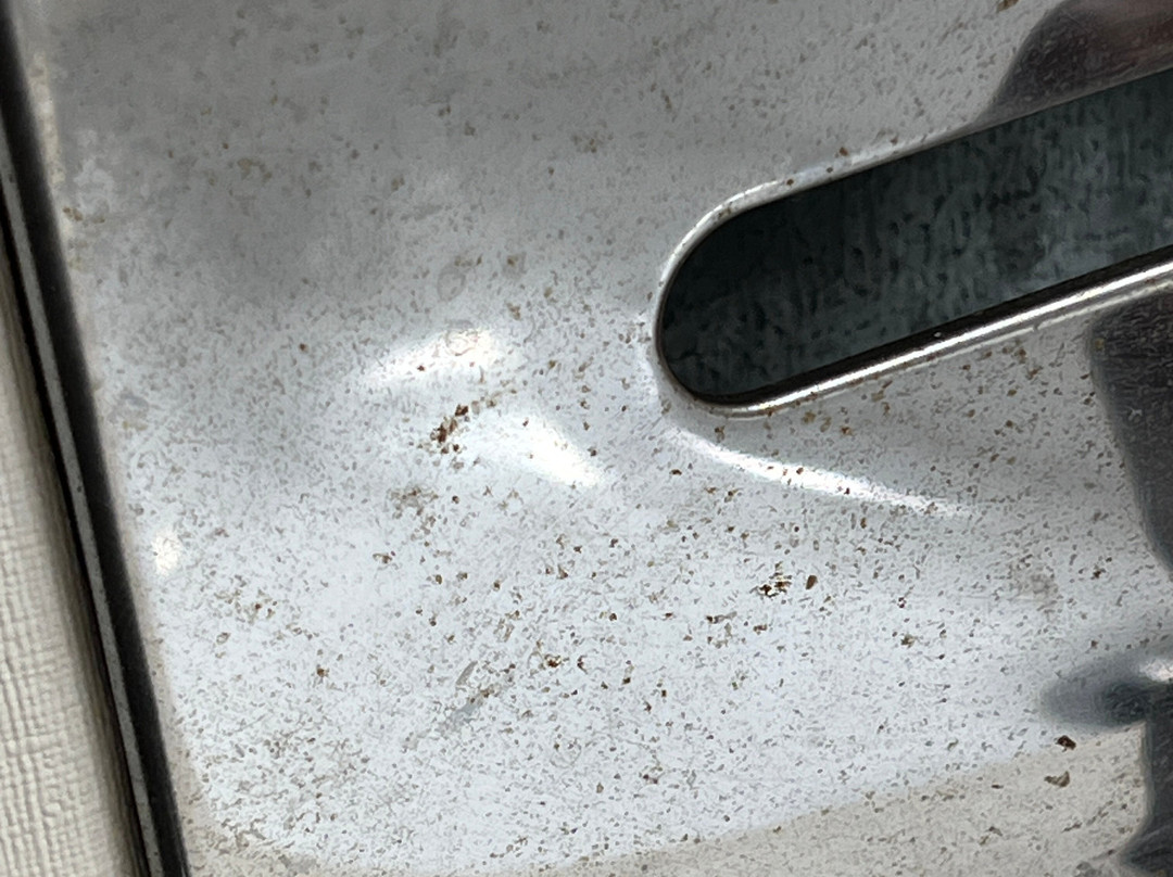 芝加哥奥黑尔机场福朋酒店主图