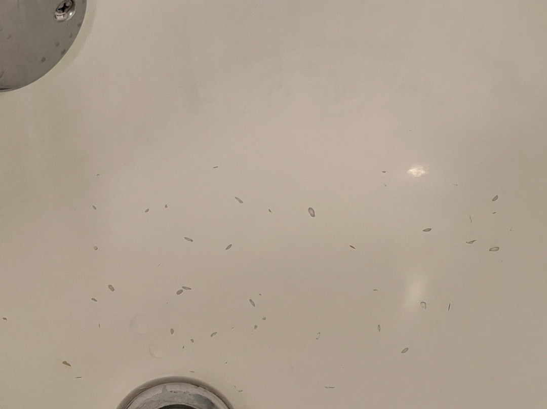 芝加哥奥黑尔机场福朋酒店主图