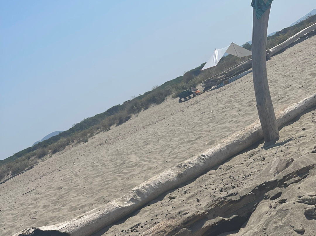 Spiaggia Della Lecciona景点图片