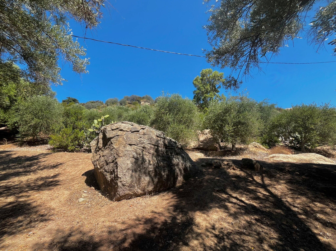 Ojai Olive Oil-奥海必去景点