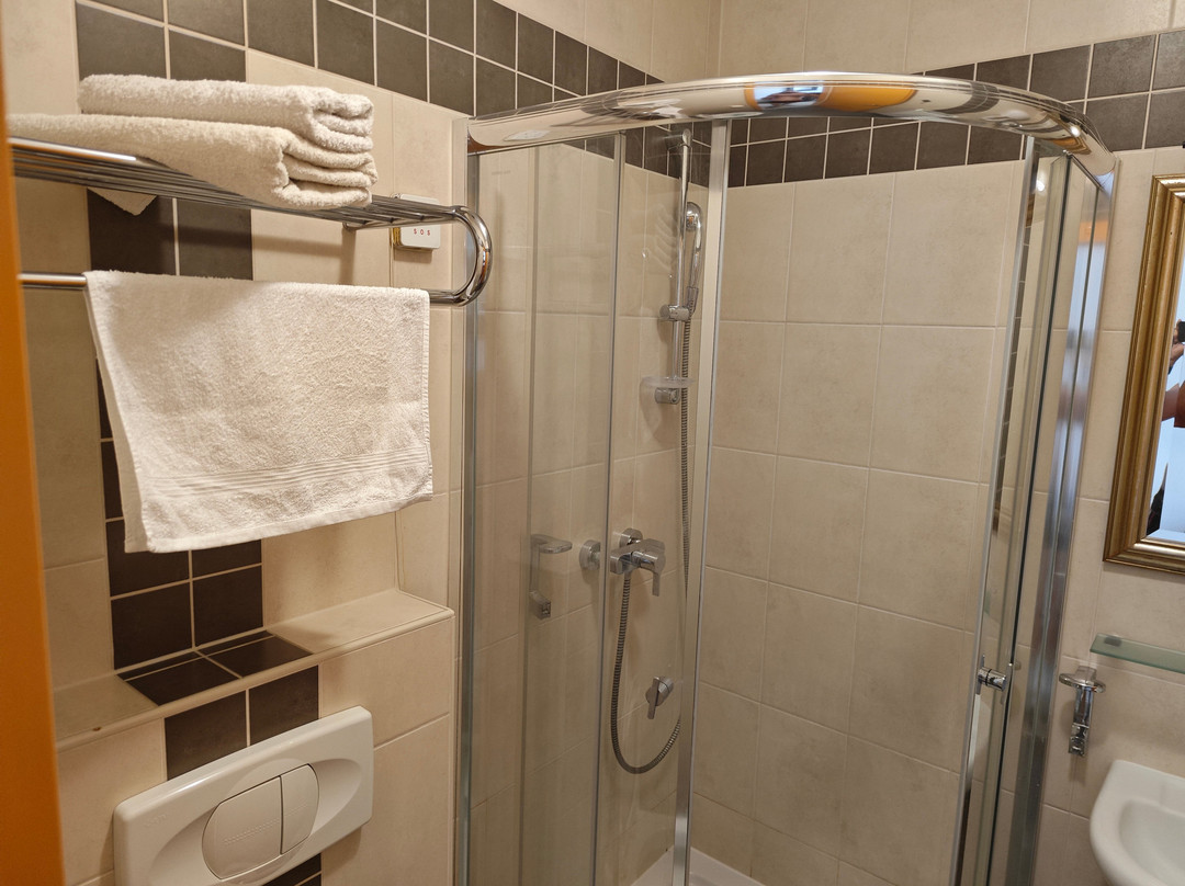 Park Hotel Ptuj主图