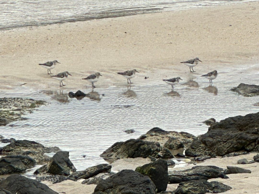Langamull Beach景点图片