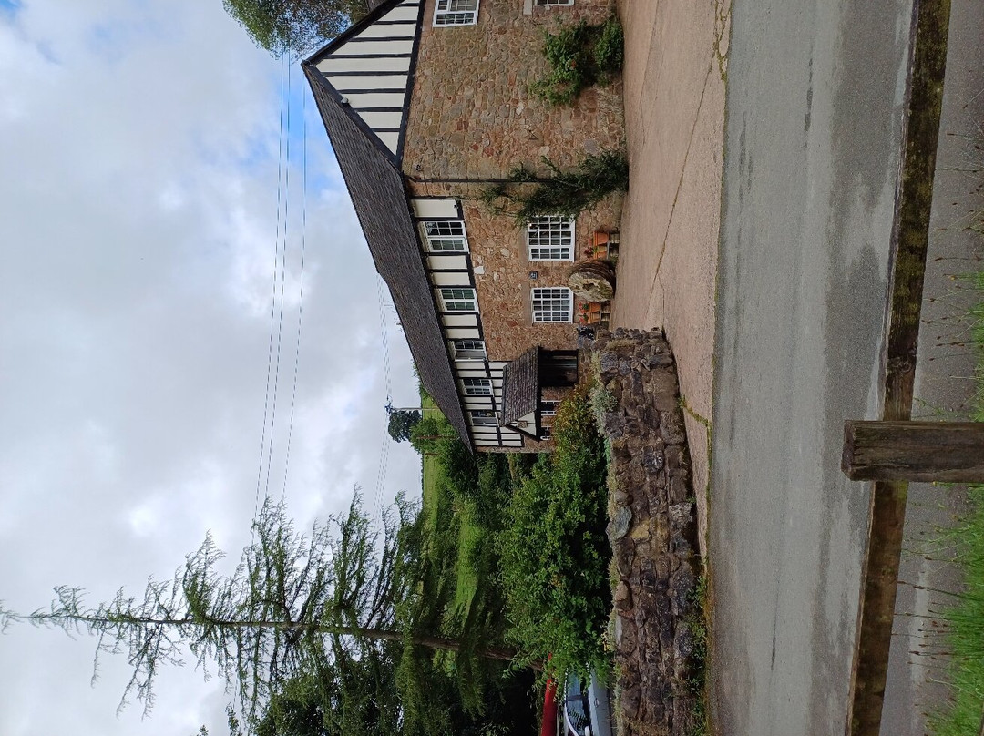 The Old Mill Bed & Breakfast, Candy