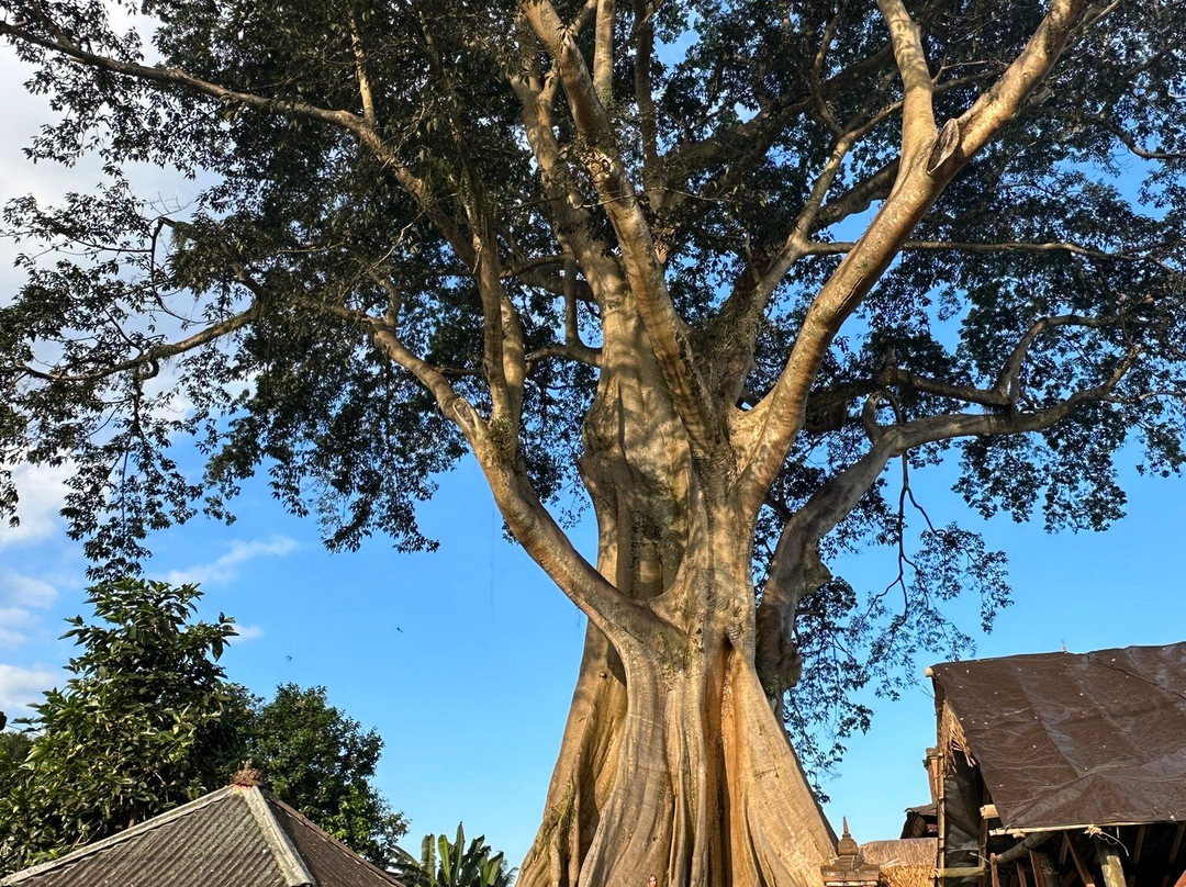 WakaLandCruise-登巴萨必去景点