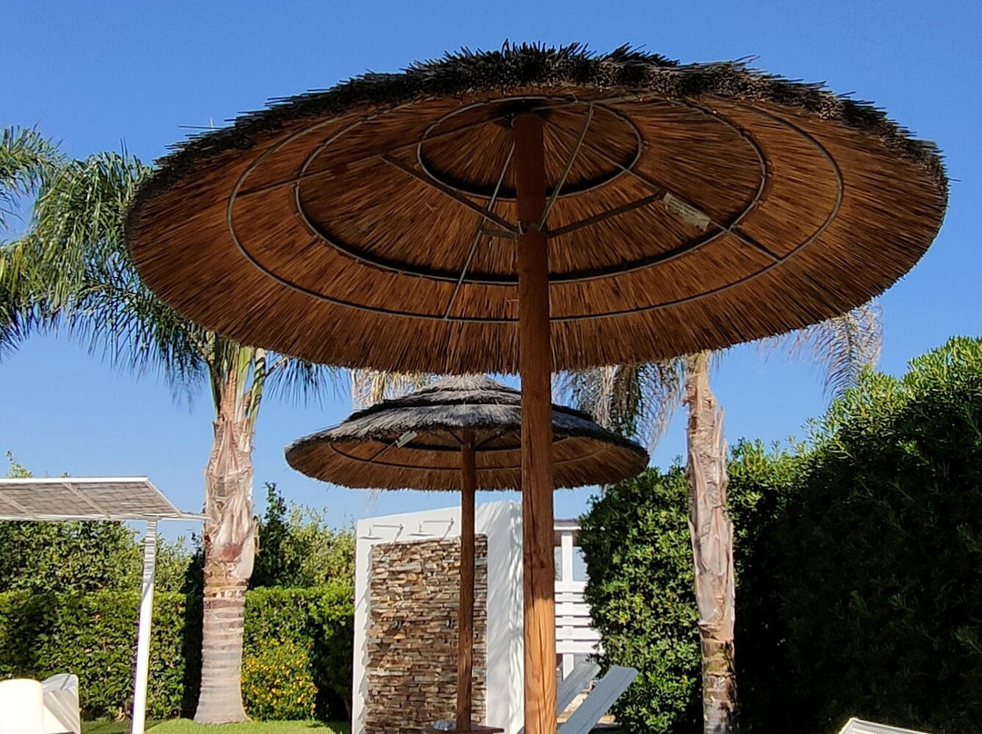 B&B Sun Of Sicily主图