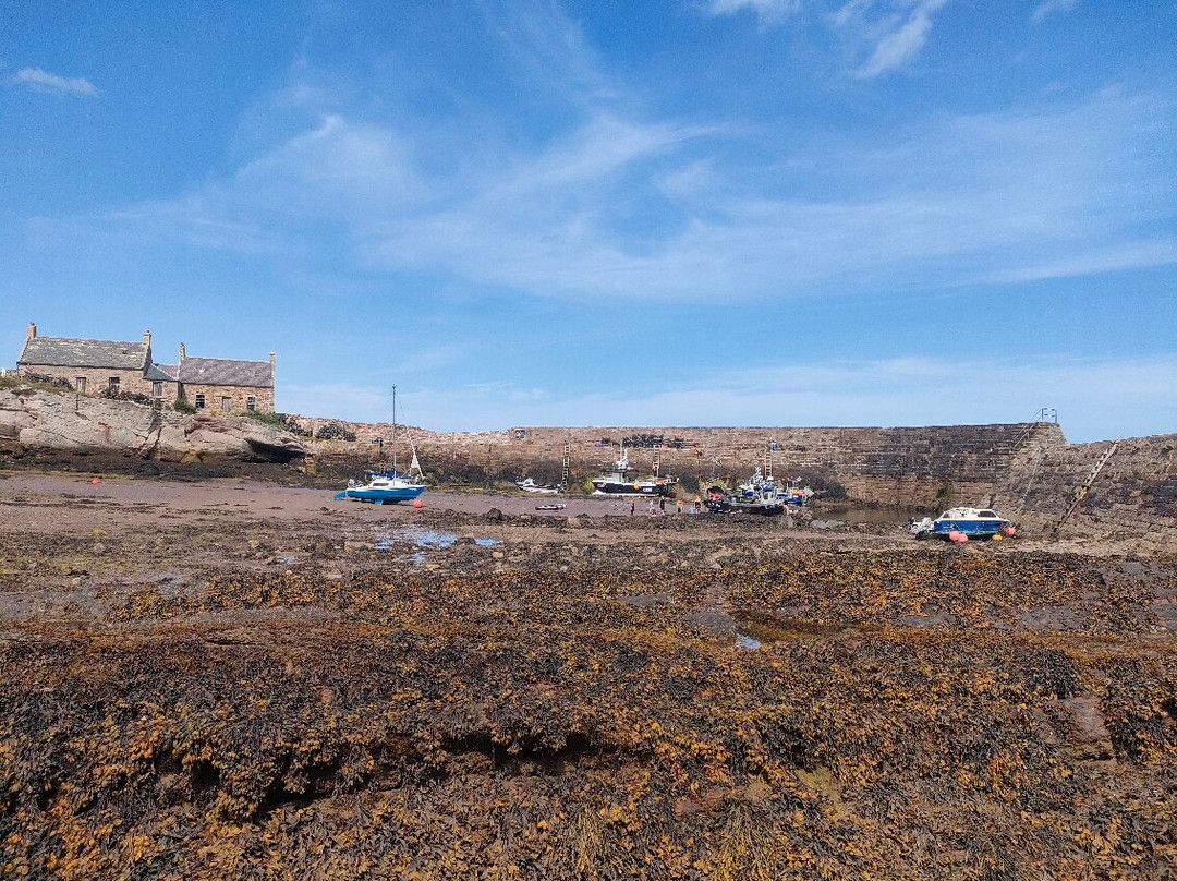 Cove Harbour-Cockburnspath必去景点