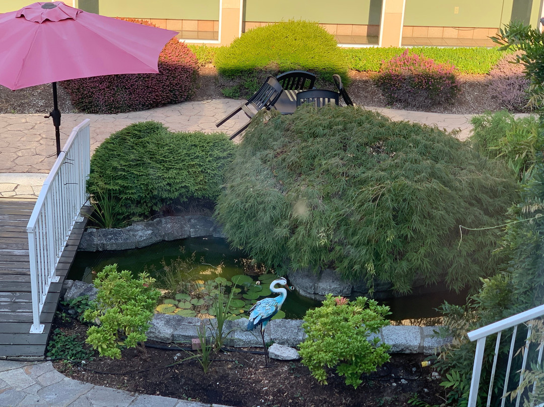 鲍威尔河市镇中心酒店主图