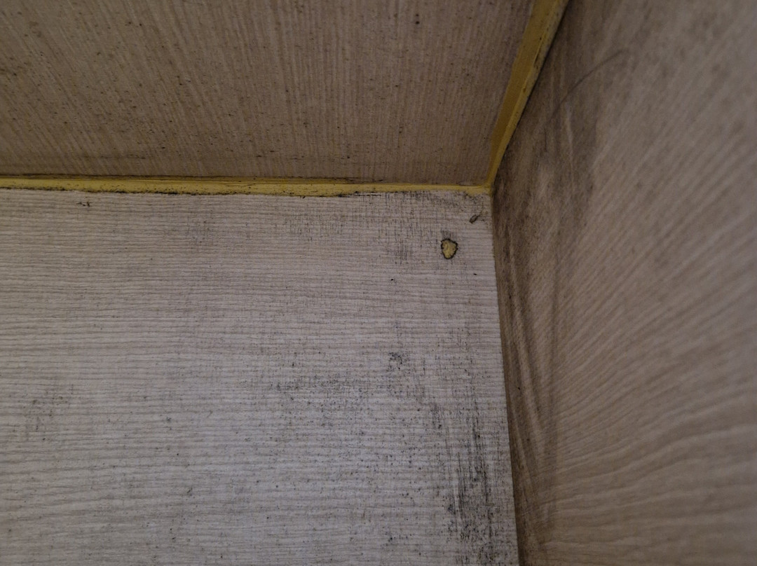 Louis Ledra Beach主图