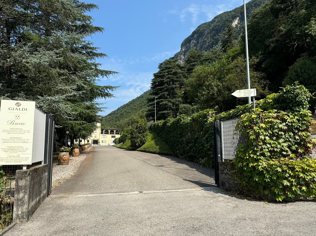 Gialdi Vini SA-门德里西奥必去景点