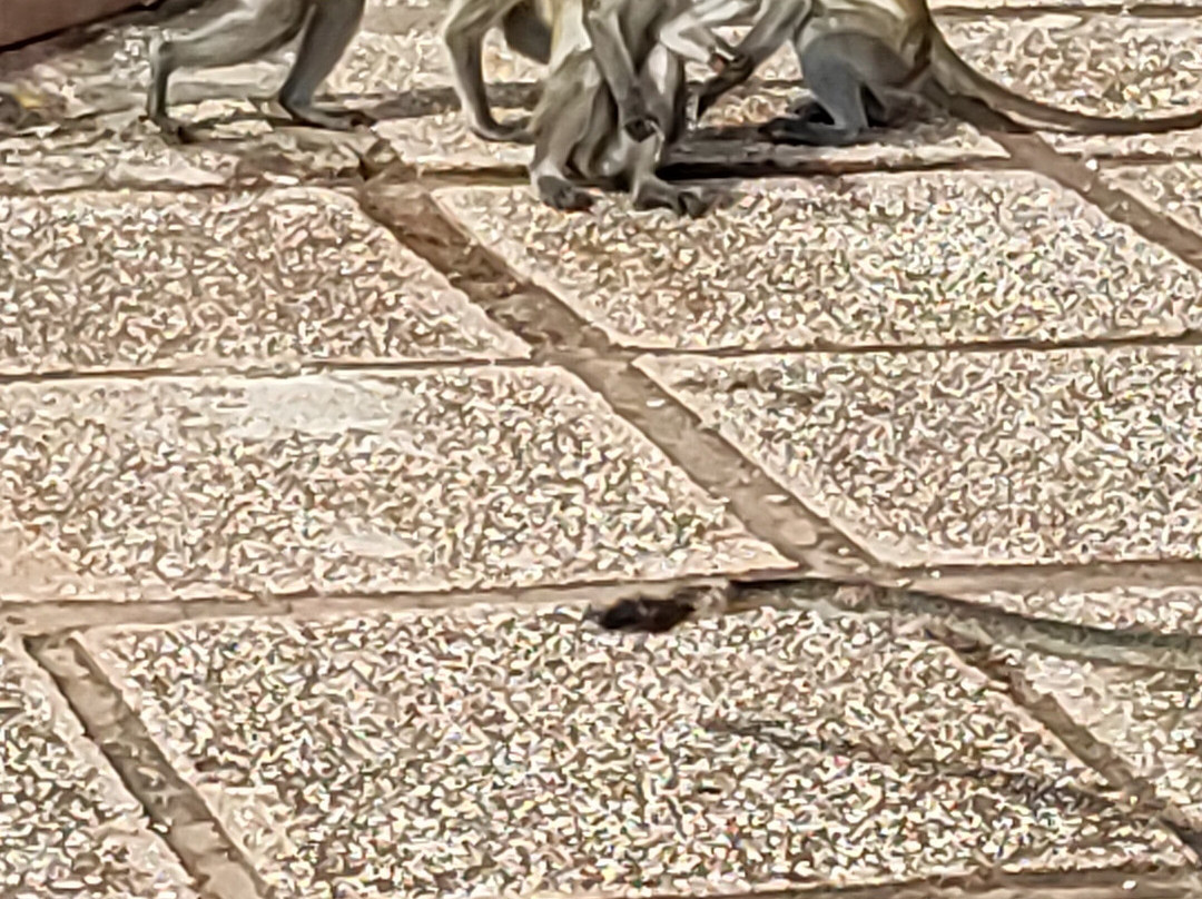 Kunduchi Wet 'n' Wild Water Park-Dar es Salaam必去景点