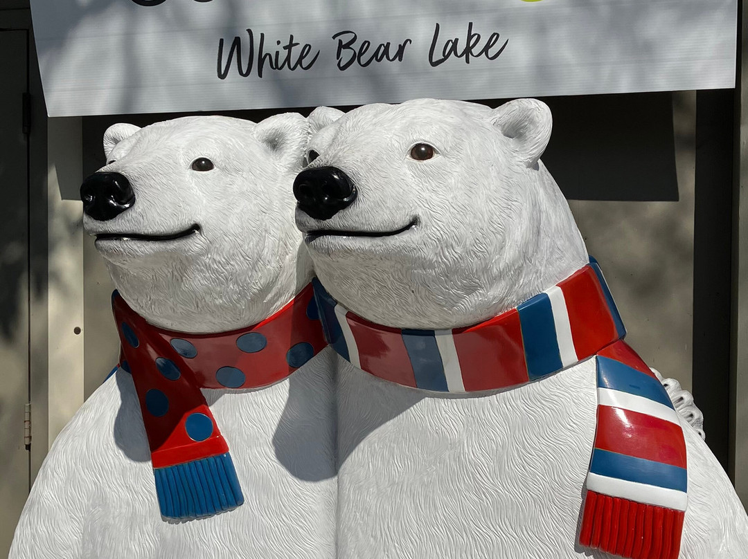 Best Western Plus White Bear Country Inn主图