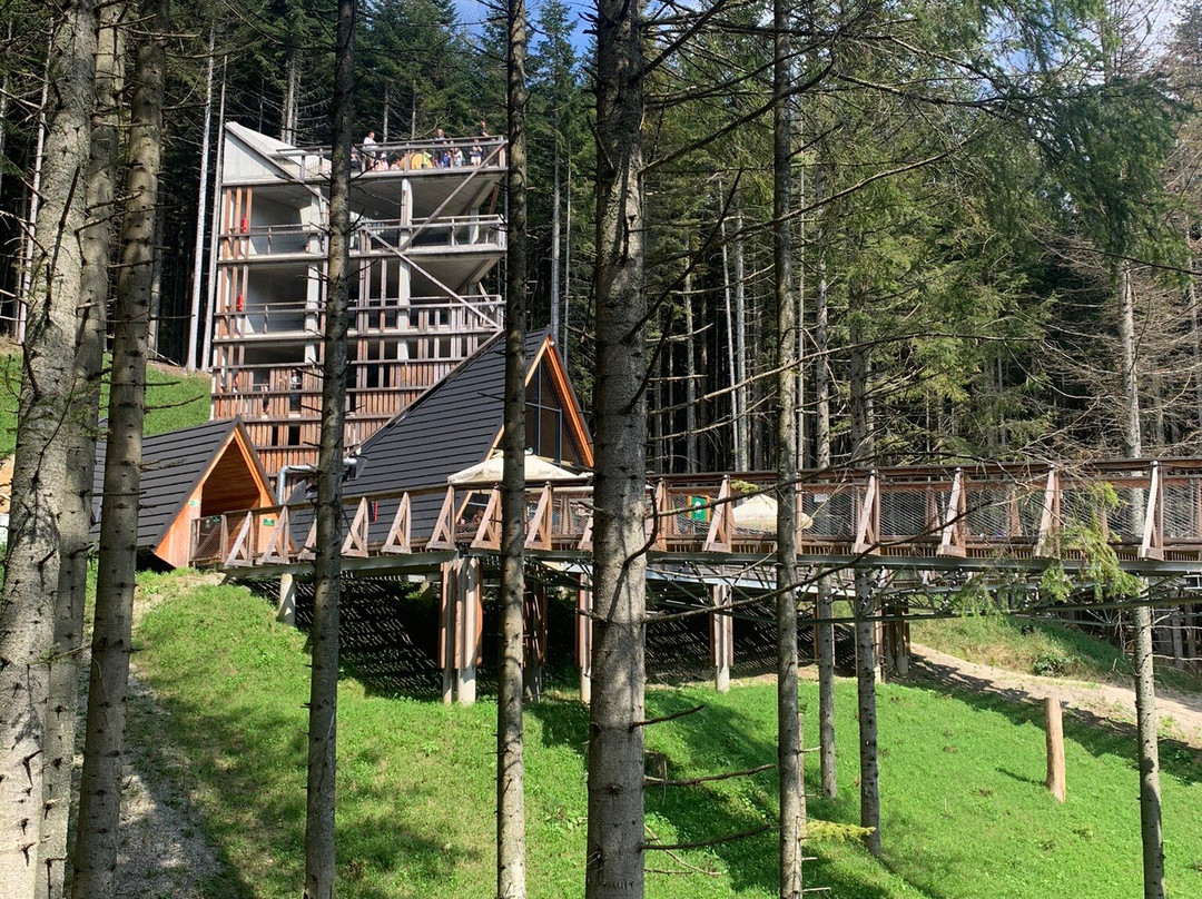 Centrum Przyrodniczo-Edukacyjne Brama w Gorce景点图片