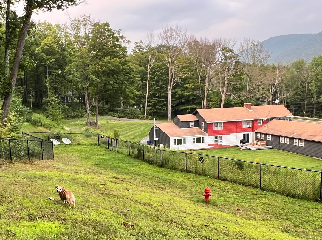 Berkshire Valley Inn主图